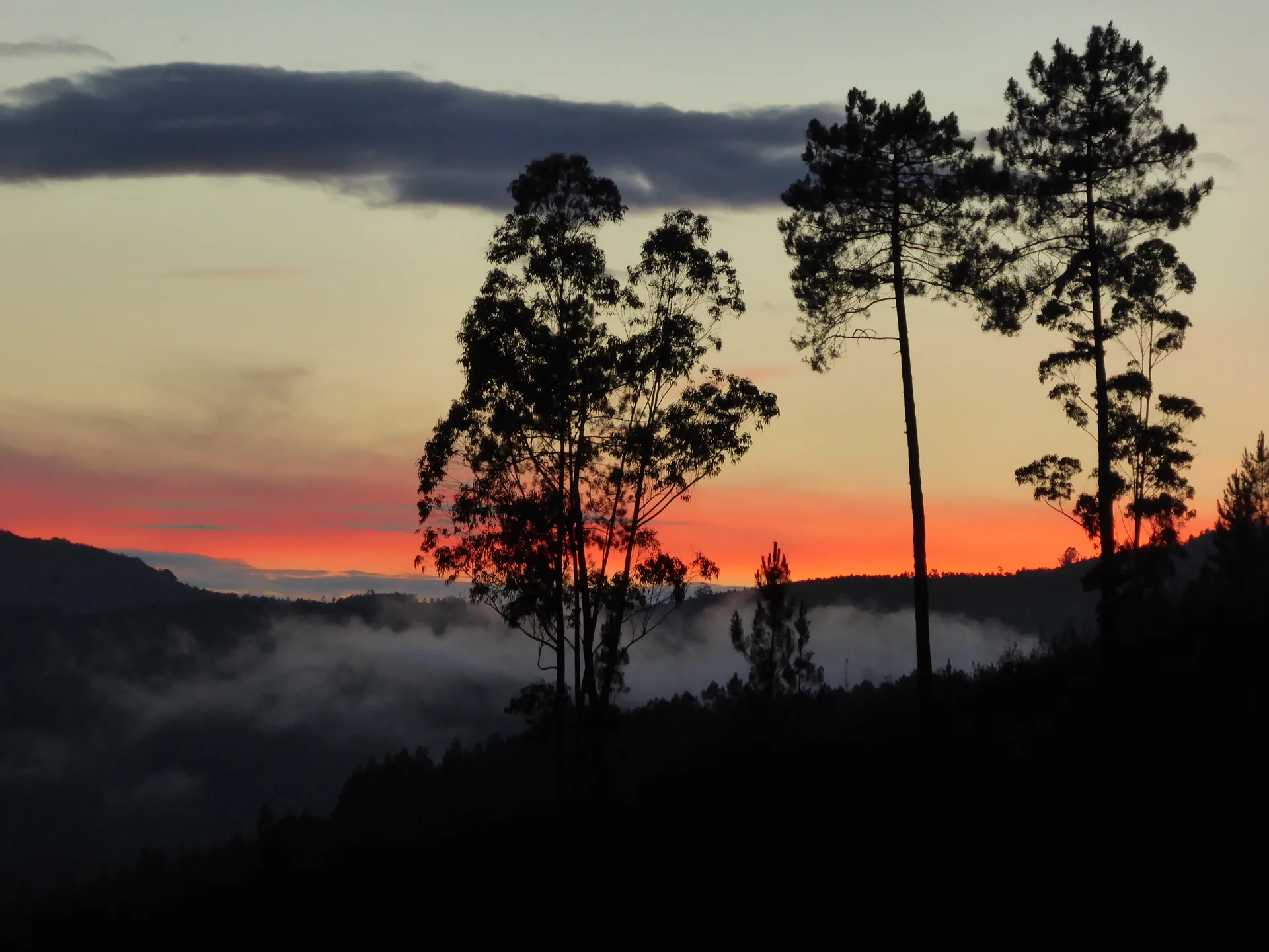 Nebel im Tal, Portugal